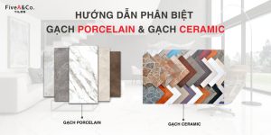 cách phân biệt gạch PROCELAIN và CERAMIC