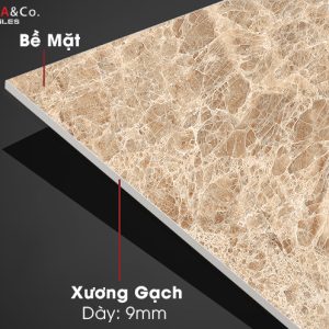 Bề mặt, xương gạch Empra Tusuany Beige