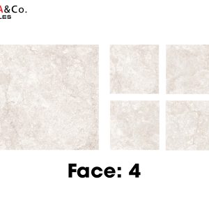 4 bề mặt gạch của gạch Panama White